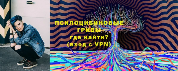 ALPHA PVP Надым