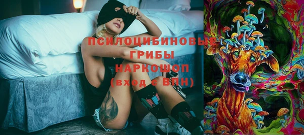тгк Михайловск
